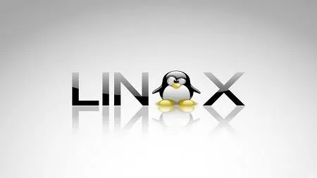 Linux Sistem Yönetimi FOTO: Linux Sistem Yönetimi