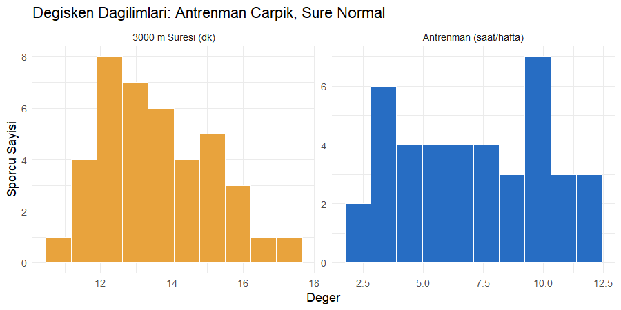 Antrenman saati ve koşu süresi değişkenlerinin histogram panelleri, antrenman dağılımı çarpık