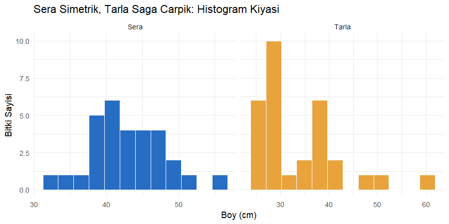 Sera ve tarla boy ölçümlerinin histogramları, sera simetrik tepe, tarla sağa uzayan kuyruk