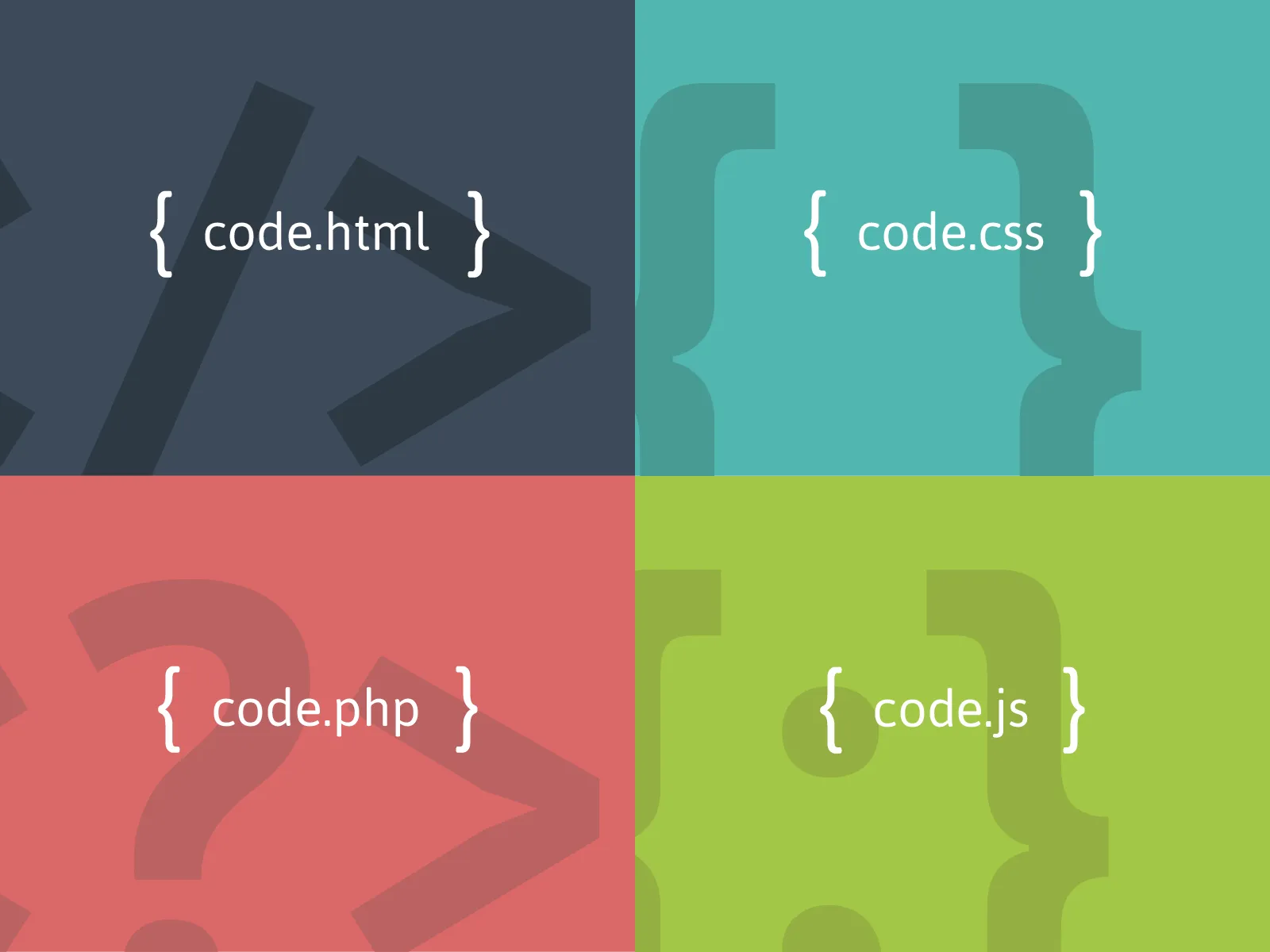 Web Programlama Dilleri FOTO: Web Programlama Dilleri